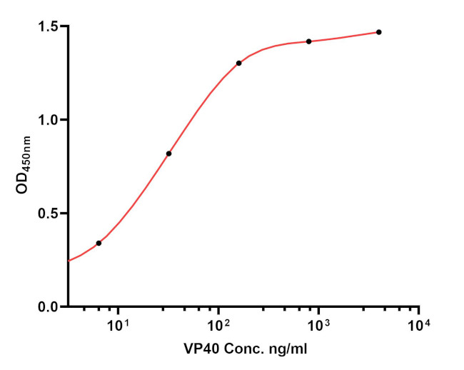 Ebola Virus VP40 Antibody in ELISA (ELISA)