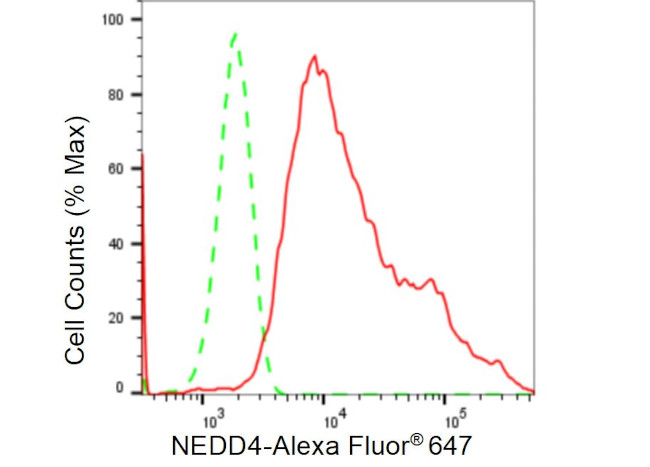 NEDD4 Antibody in Flow Cytometry (Flow)