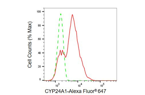 CYP24A1 Antibody in Flow Cytometry (Flow)