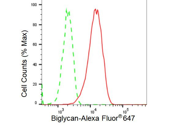 Biglycan Antibody in Flow Cytometry (Flow)