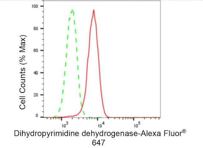 DPYD Antibody in Flow Cytometry (Flow)