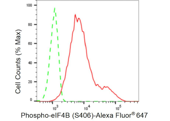 Phospho-eIF4B (Ser406) Antibody in Flow Cytometry (Flow)