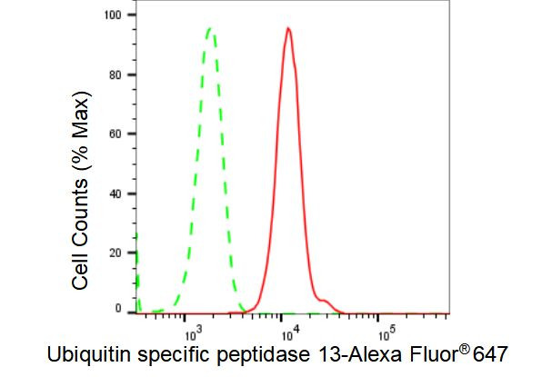 USP13 Antibody in Flow Cytometry (Flow)