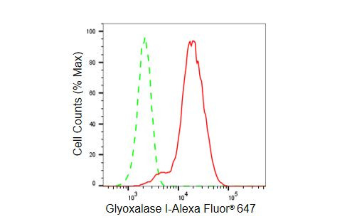 GLO1 Antibody in Flow Cytometry (Flow)