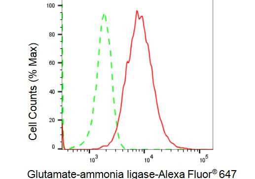 Glutamine Synthetase Antibody in Flow Cytometry (Flow)