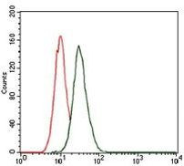 LC3B Antibody in Flow Cytometry (Flow)