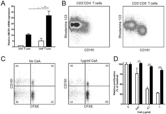 CD8 Antibody in Flow Cytometry (Flow)