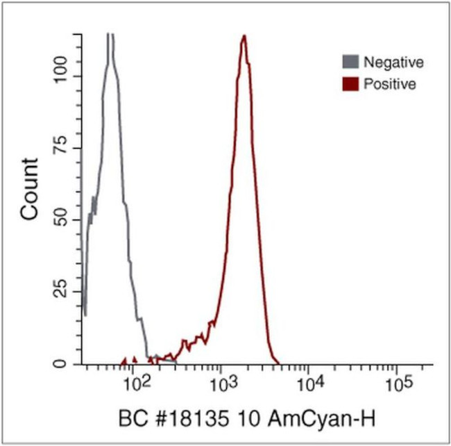 CD45 Antibody in Flow Cytometry (Flow)