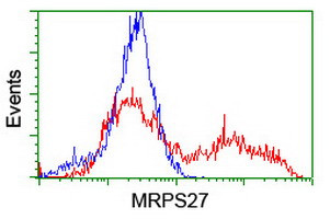 MRPS27 Antibody in Flow Cytometry (Flow)