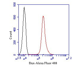 DUX4 Antibody in Flow Cytometry (Flow)