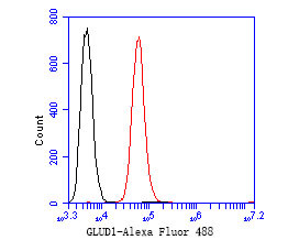 GluD1 Antibody in Flow Cytometry (Flow)