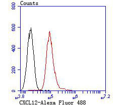 CXCL12 Antibody in Flow Cytometry (Flow)