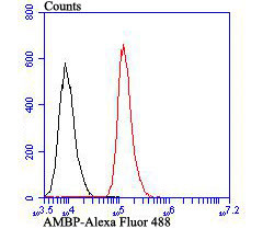 alpha-1 Microglobulin Antibody in Flow Cytometry (Flow)