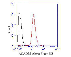 ACADM Antibody in Flow Cytometry (Flow)