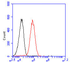 HDLBP Antibody in Flow Cytometry (Flow)