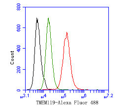 TMEM119 Antibody in Flow Cytometry (Flow)