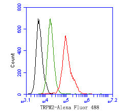 TRPM2 Antibody in Flow Cytometry (Flow)