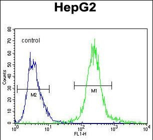 Septin-9 Antibody in Flow Cytometry (Flow)