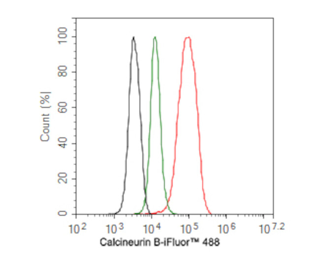Calcineurin B Antibody in Flow Cytometry (Flow)