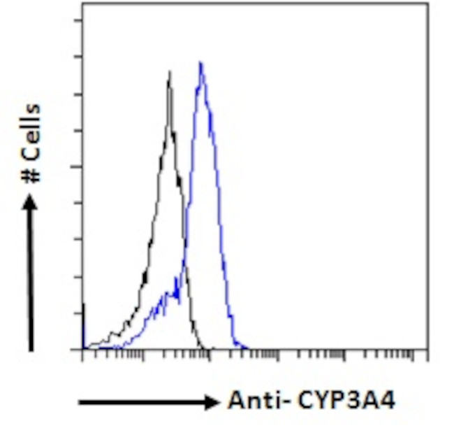 CYP3A4 Antibody in Flow Cytometry (Flow)