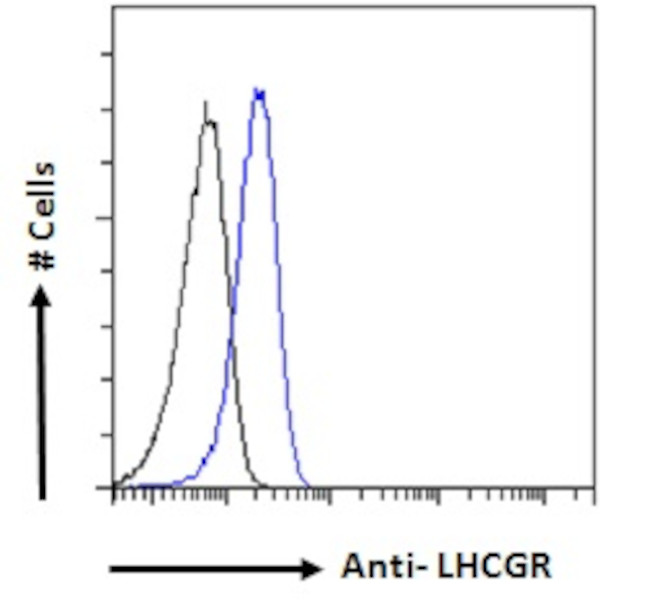 LHR Antibody in Flow Cytometry (Flow)