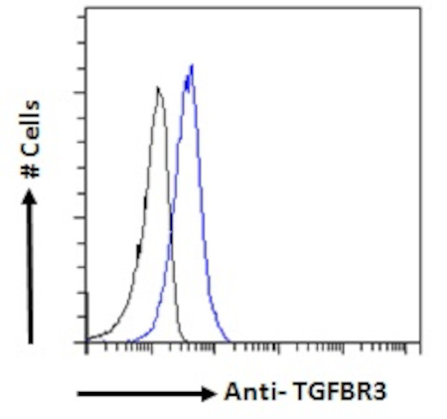 TGFBR3 Antibody in Flow Cytometry (Flow)