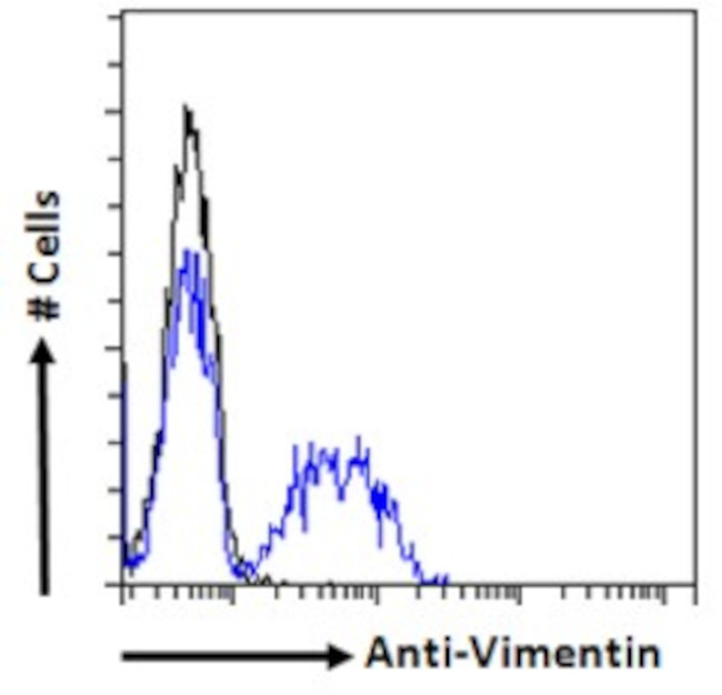 Vimentin Antibody in Flow Cytometry (Flow)