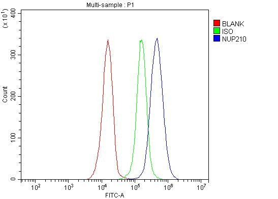 gp210 Antibody in Flow Cytometry (Flow)