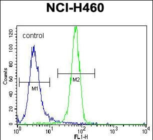 NGF Antibody in Flow Cytometry (Flow)