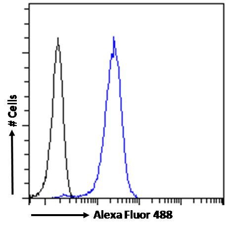 Acetylcholinesterase Antibody in Flow Cytometry (Flow)