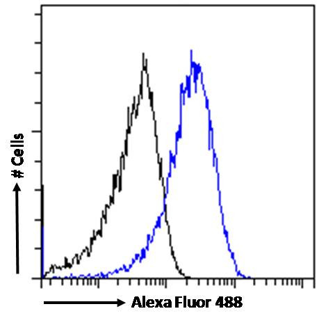 ARF1/ARF2/ARF3/ARF4 Antibody in Flow Cytometry (Flow)