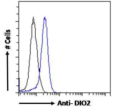 DIO2 Antibody in Flow Cytometry (Flow)