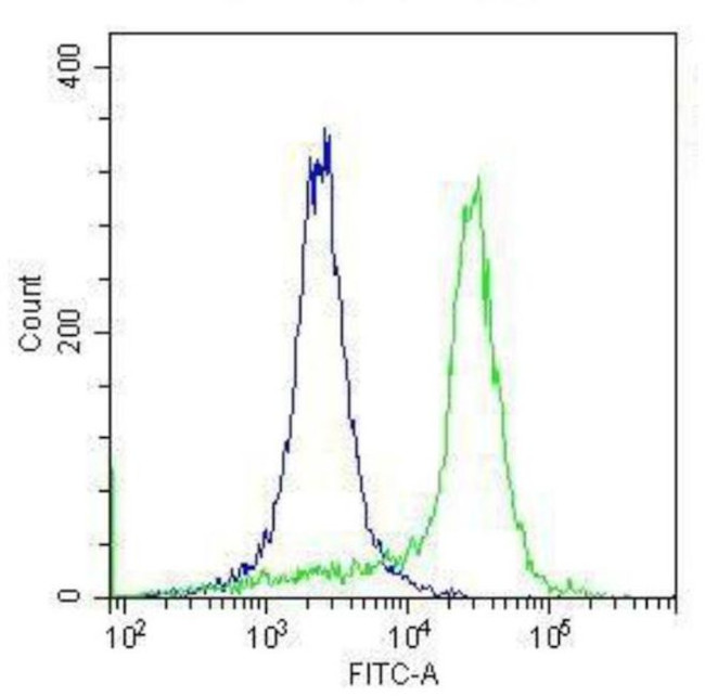 TLR4 Antibody in Flow Cytometry (Flow)