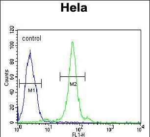 CTDSPL Antibody in Flow Cytometry (Flow)