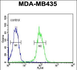 VEGF Receptor 2 Antibody in Flow Cytometry (Flow)