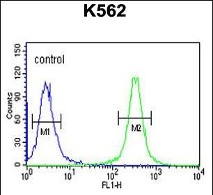 GRP94 Antibody in Flow Cytometry (Flow)