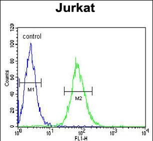 GGNBP2 Antibody in Flow Cytometry (Flow)