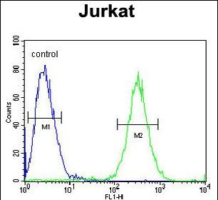 ST3GAL5 Antibody in Flow Cytometry (Flow)