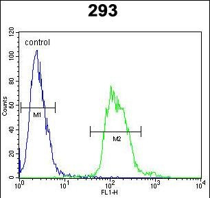 TAC1 C-terminal Peptide Antibody in Flow Cytometry (Flow)
