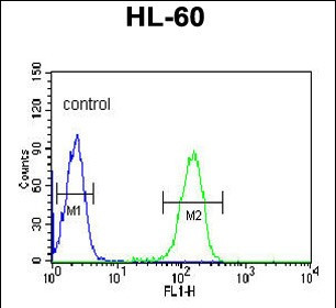 PLVAP Antibody in Flow Cytometry (Flow)