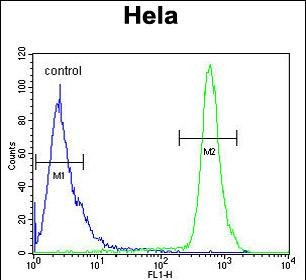 HS3ST2 Antibody in Flow Cytometry (Flow)