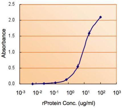 G6PD Antibody in ELISA (ELISA)