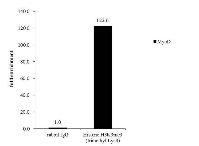 H3K9me3 Antibody in ChIP Assay (ChIP)