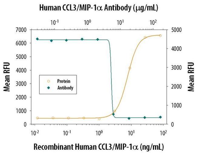 CCL3 Antibody