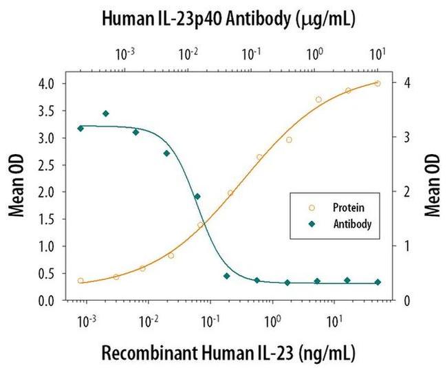 IL-12/IL-23 p40 Antibody