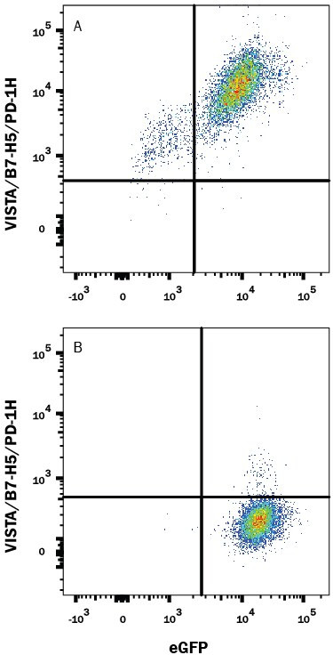 VISTA Antibody in Flow Cytometry (Flow)