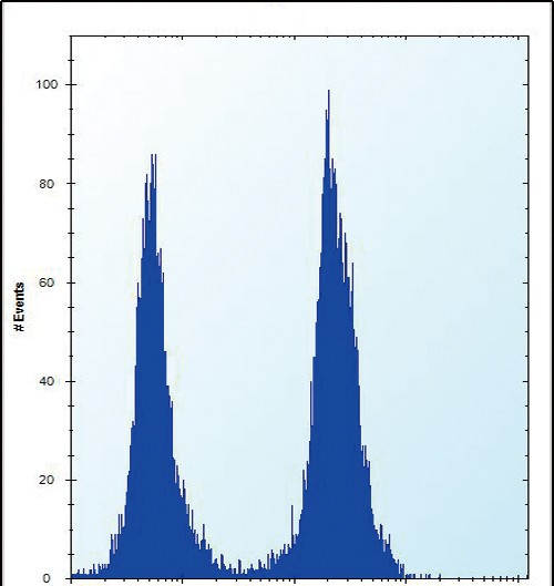 SLC16A10 Antibody in Flow Cytometry (Flow)