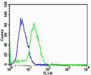 HBG2 Antibody in Flow Cytometry (Flow)