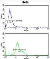 DTX4 Antibody in Flow Cytometry (Flow)