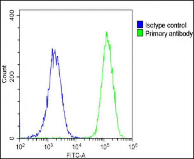 ANP Antibody in Flow Cytometry (Flow)